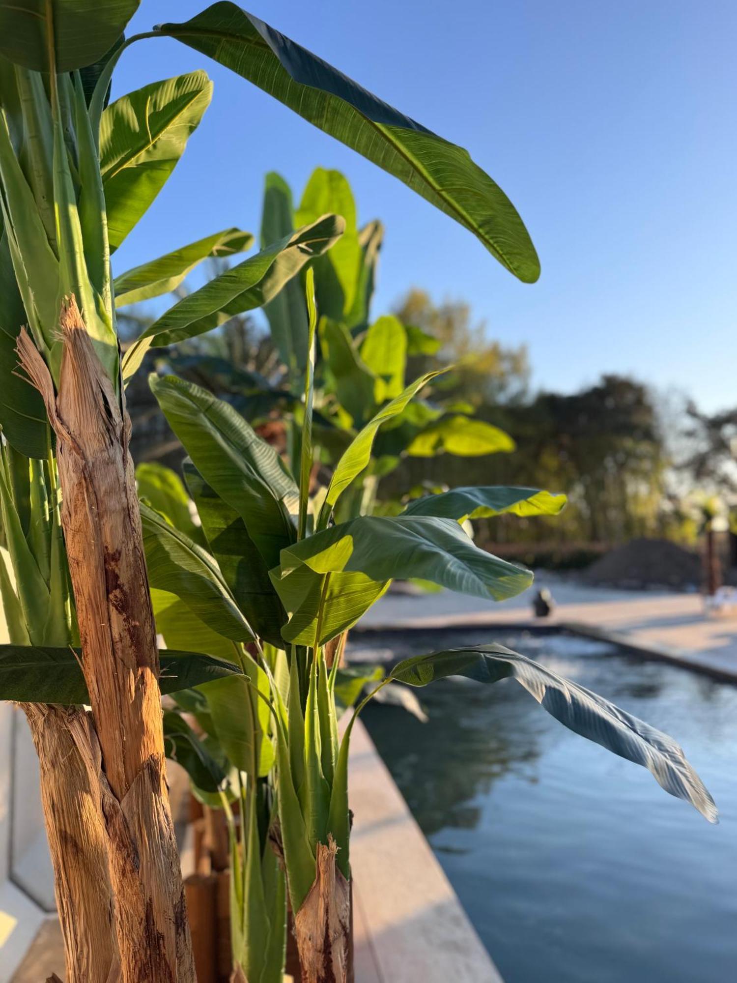 Domki Piaskowa11 Palm Resort & Wellness Łeba Eksteriør bilde